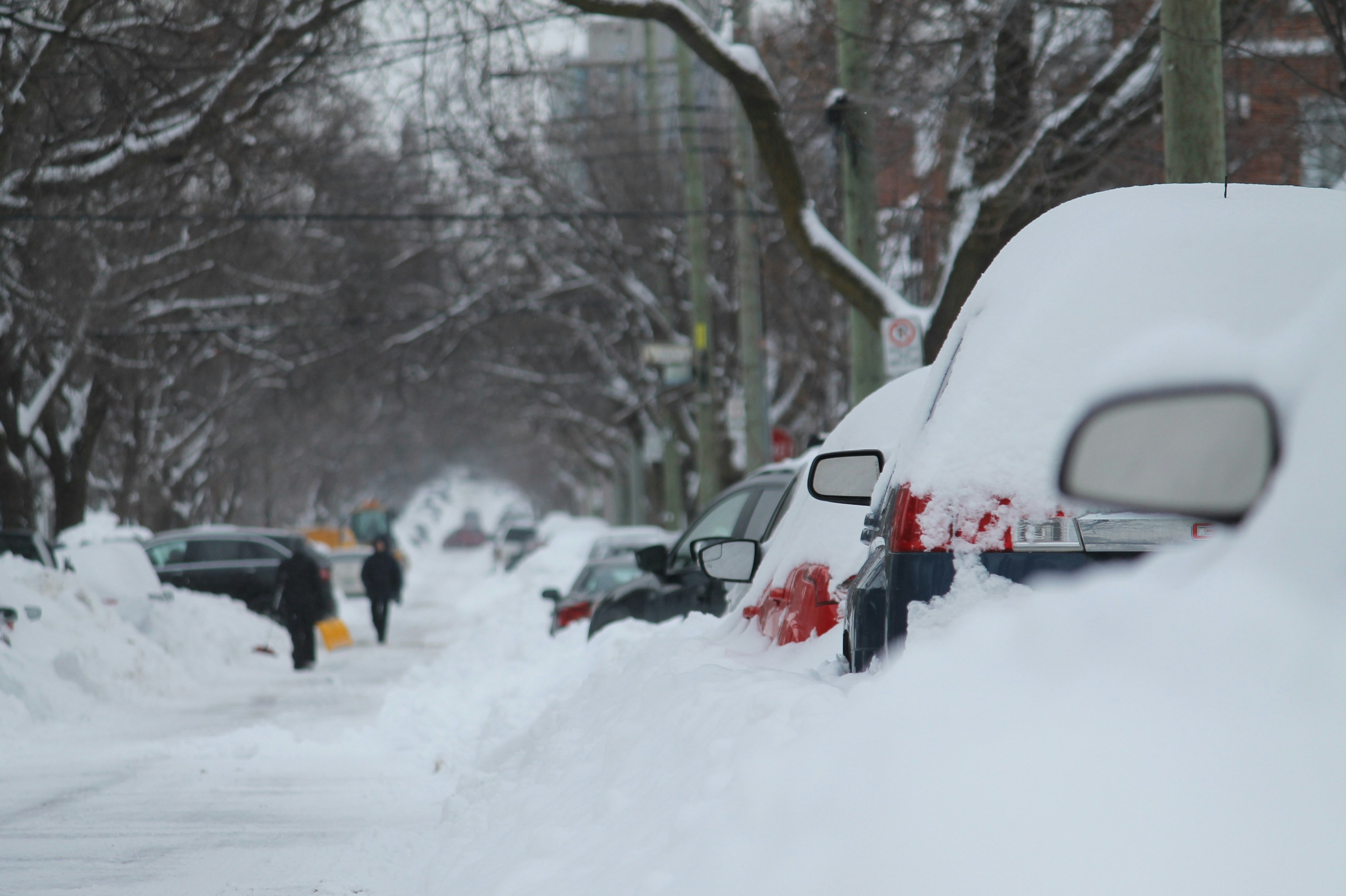Winter Storm